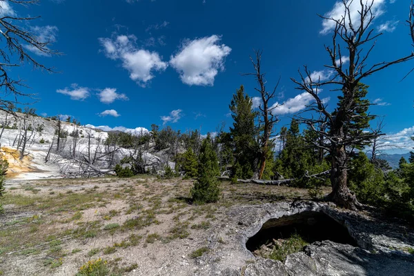 Mammuth Spring Area Yellowstone Park Yellowstone National Park — Stockfoto