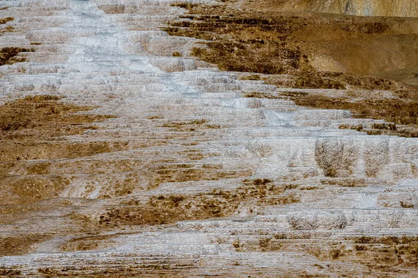 Angel Terrace in the Mammoth Spring Area, Yellowstone National Park