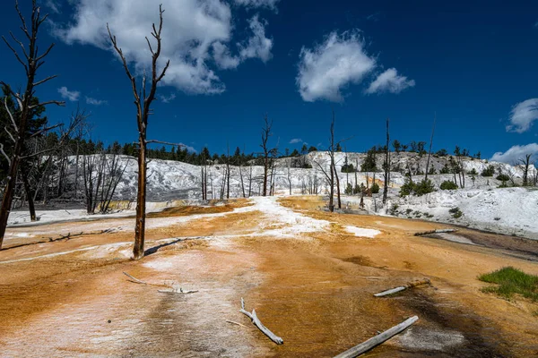 Angel Terrace Área Mammoth Spring Parque Nacional Yellowstone — Foto de Stock