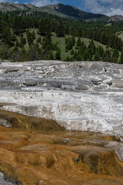 Terrazas Montículo Júpiter Área Mammoth Hot Springs Parque Nacional Yellowstone — Foto de Stock