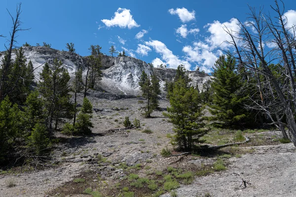 Mamut Upper Terrace Área Parque Nacional Yellowstone — Foto de Stock