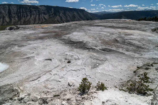 Mammoth Hot Springs Area Yellowstone National Park — Stock Photo, Image