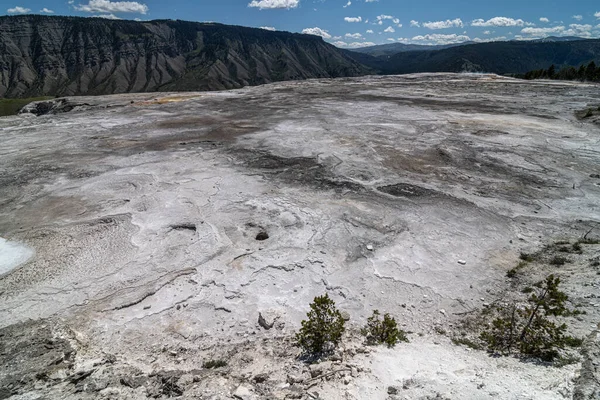 Zona Mamut Hot Springs Parque Nacional Yellowstone — Foto de Stock