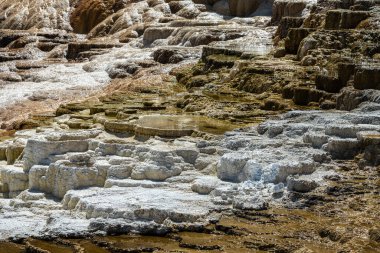 Mamut Kaplıcaları Bölgesi, Yellowstone Ulusal Parkı.