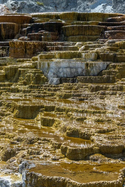 Πηγή Mound Στην Περιοχή Mammoth Hot Springs Εθνικό Πάρκο Yellowstone — Φωτογραφία Αρχείου