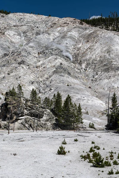 Montaña Rugiente Parque Nacional Yellowstone — Foto de Stock