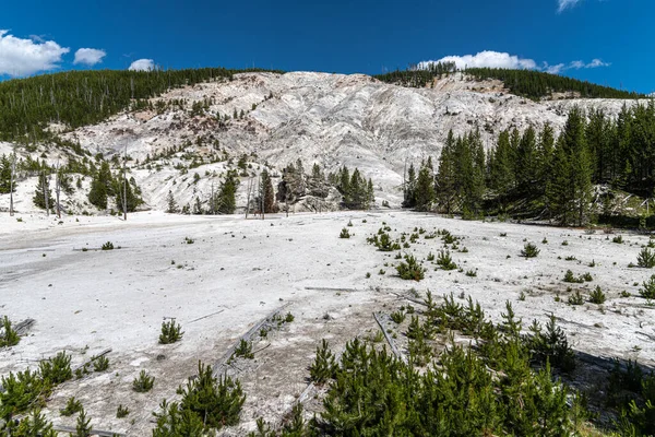 Roaring Mountain Yellowstone National Park — Stock Photo, Image