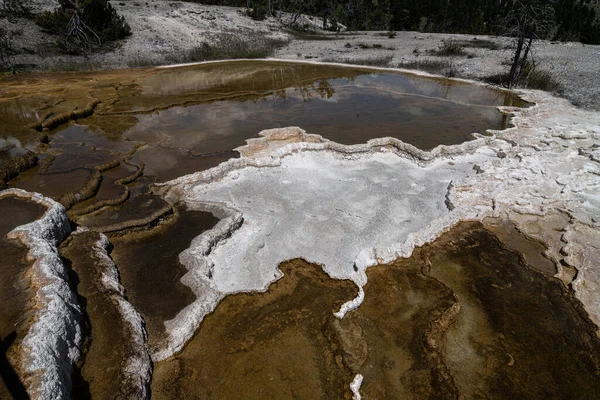 Piscina Área Mammoth Hot Springs Parque Nacional Yellowstone — Foto de Stock