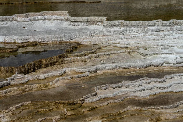 Mound Spring Nella Mammoth Hot Springs Area Parco Nazionale Yellowstone — Foto Stock