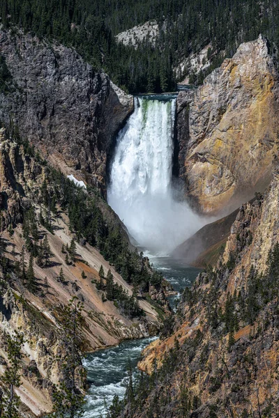 Lower Falls Gran Cañón Parque Nacional Yellowstone — Foto de Stock