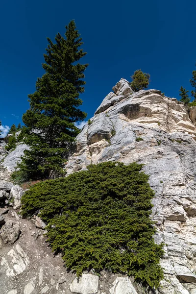 Rock Formations Silver Gate Yellowstone National Park — Stock Photo, Image