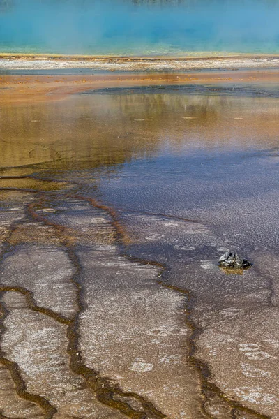 Tracce Batteri Formazioni Fango Grand Prismatic Spring Parco Nazionale Yellowstone — Foto Stock