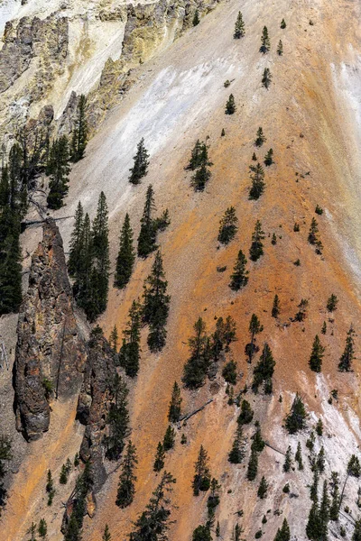 Formazioni Rocciose Sabbiose Grand Canyon Parco Nazionale Yellowstone — Foto Stock