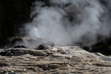 Bijou Gayzer, Yukarı Gayzer Havzası, Yellowstone Ulusal Parkı