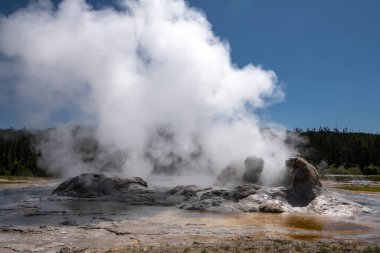 Grotto Gayzer, Yukarı Gayzer Havzası, Yellowstone Ulusal Parkı