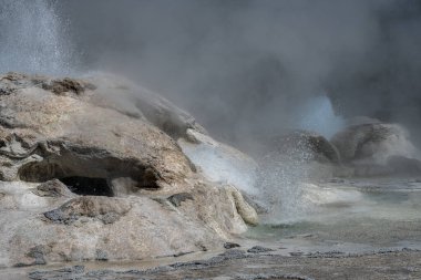 Grotto Gayzer, Yukarı Gayzer Havzası, Yellowstone Ulusal Parkı