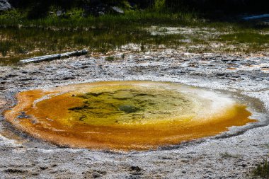 Ekonomik Gayzer, Yukarı Gayzer Havzası, Yellowstone Ulusal Parkı