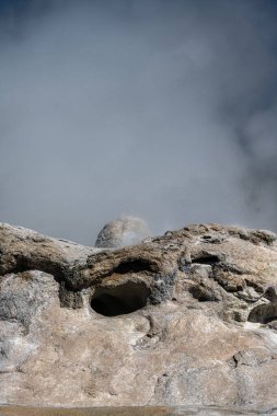 Grotto Gayzer, Yukarı Gayzer Havzası, Yellowstone Ulusal Parkı