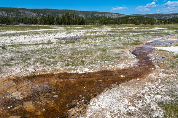 Creek Upper Geyser Basin Parque Nacional Yellowstone — Foto de Stock