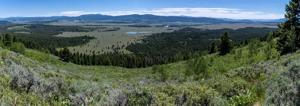 Bridger Teton Ulusal Ormanı, Wyoming