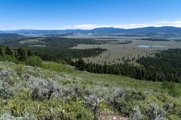 Bridger Teton National Forest Range Wyoming — Stock Photo, Image