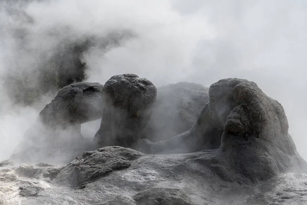 Grotto Gayzer, Yukarı Gayzer Havzası, Yellowstone Ulusal Parkı