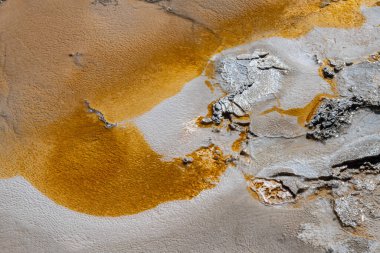 Gayzer, Yukarı Gayzer Havzası, Yellowstone Ulusal Parkı 'nın yanındaki çamur ve bakteri.