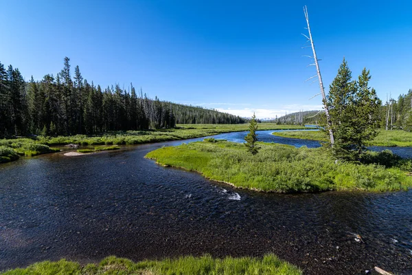 Río Lewis Parque Nacional Yellowstone — Foto de Stock