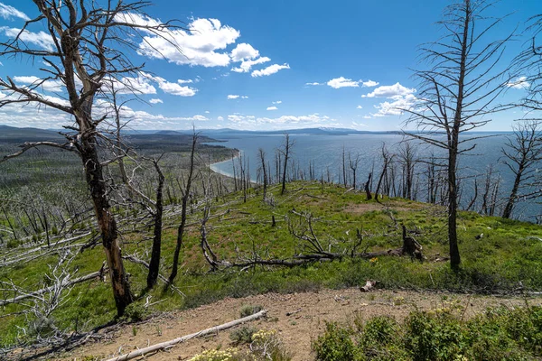 Danau Butte Overview Dan Wild Fire Damage Taman Nasional Yellowstone — Stok Foto