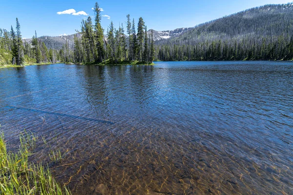 Sylvan Lake Yellowstone National Park — Stock Photo, Image