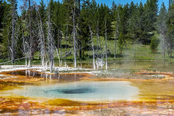 Άνω Λεκάνη Geyser Εθνικό Πάρκο Yellowstone — Φωτογραφία Αρχείου