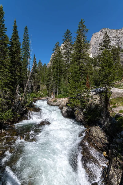 Cascade Creek Nationalparken Teton — Stockfoto