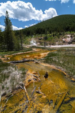 Sanatçının Ressamlık Alanı, Yellowstone Ulusal Parkı