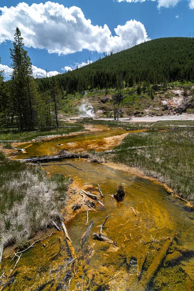 Área Pinturas Del Artista Parque Nacional Yellowstone — Foto de Stock