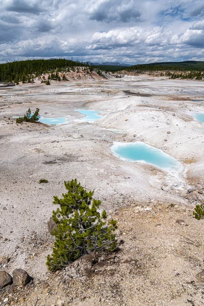 Cuenca Norris Geyser Parque Nacional Yellowstone — Foto de Stock