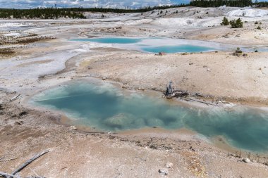 Norris Gayzer Havzası, Yellowstone Ulusal Parkı