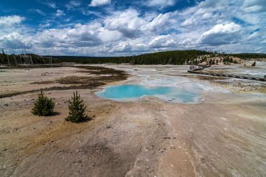 Norris Gayzer Havzası, Yellowstone Ulusal Parkı