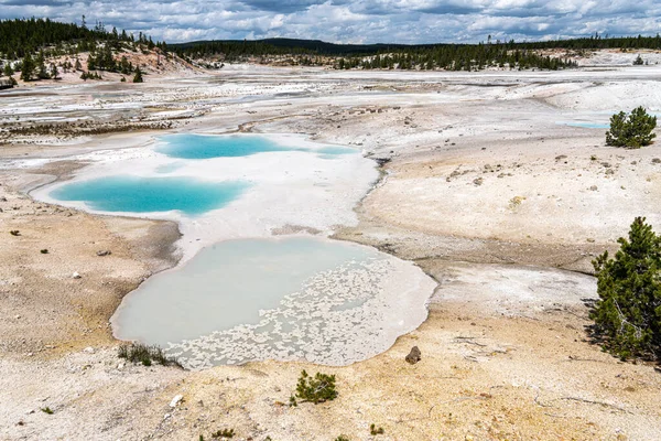 Cuenca Norris Geyser Parque Nacional Yellowstone — Foto de Stock