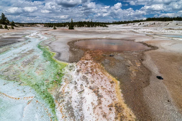 Creek Norris Geyser Basin Yellowstone National Park — Stock Photo, Image