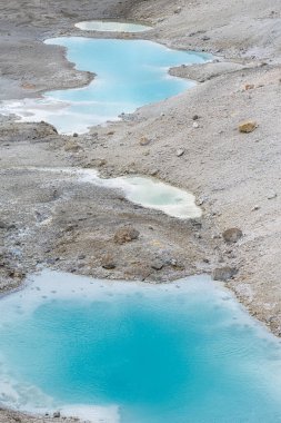 Porselen Kaplıcalar, Norris Gayzer Havzası, Yellowstone Ulusal Parkı