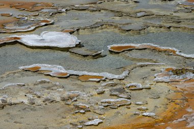 Çift Havuz, Üst Gayzer Havzası, Yellowstone Ulusal Parkı