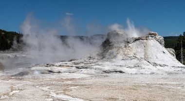 Castle Gayzer, Yukarı Gayzer Havzası, Yellowstone Ulusal Parkı