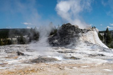 Castle Gayzer, Yukarı Gayzer Havzası, Yellowstone Ulusal Parkı