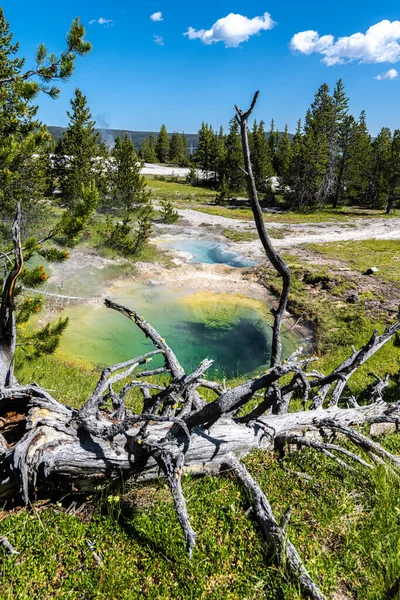Blue Bell Pool West Thumb Geyser Basin Parque Nacional Yellowstone — Foto de Stock