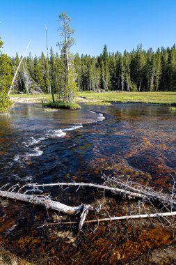 Tek Yıldız Patikası 'ndaki Firehole Nehri, Yellowstone Ulusal Parkı.