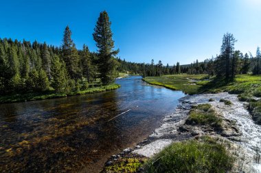 Tek Yıldız Patikası 'ndaki Firehole Nehri, Yellowstone Ulusal Parkı.