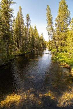 Tek Yıldız Patikası 'ndaki Firehole Nehri, Yellowstone Ulusal Parkı.