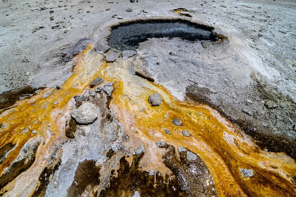 Ear Spring Upper Geyser Basin Area Parco Nazionale Yellowstone — Foto Stock