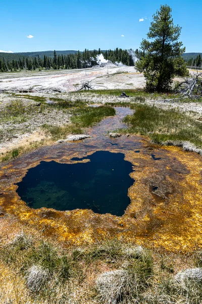 Piscina Liberty Zona Cuenca Del Géiser Superior Parque Nacional Yellowstone — Foto de Stock