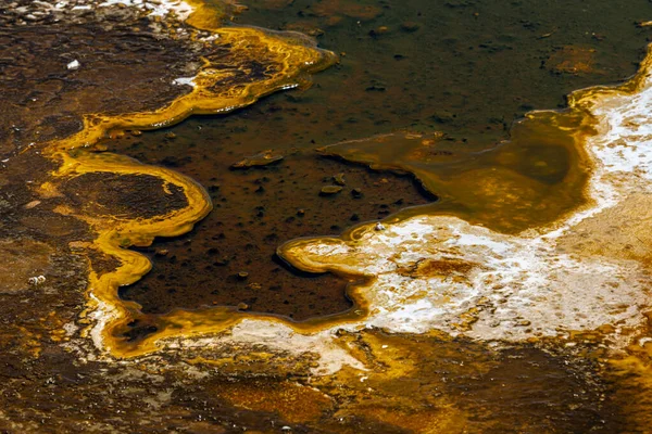 Los Alrededores Del Géiser Bomba Área Cuenca Del Géiser Superior — Foto de Stock